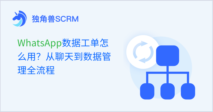 WhatsApp数据工单怎么用？从聊天到数据管理全流程