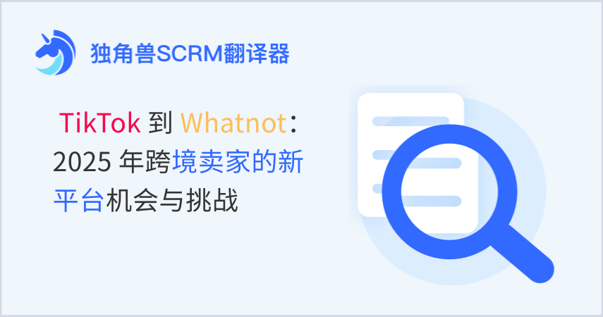 从 TikTok 到 Whatnot：2025 年跨境卖家的新平台机会与挑战