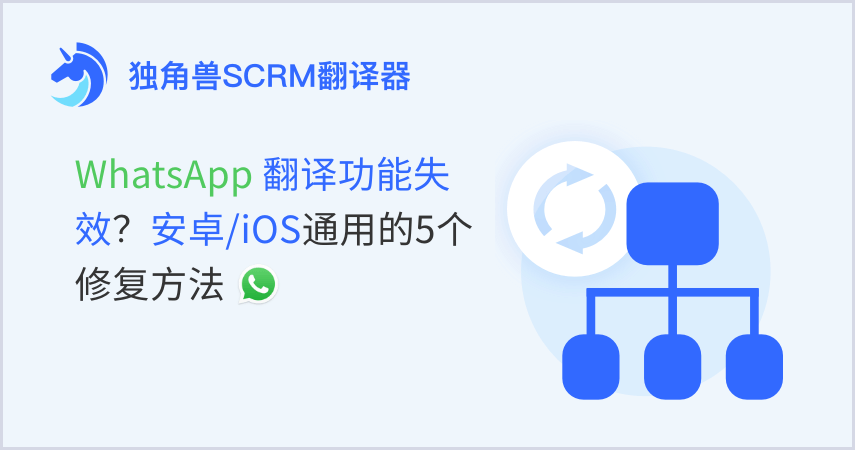 WhatsApp翻译功能失效？安卓/iOS通用的5个修复方法